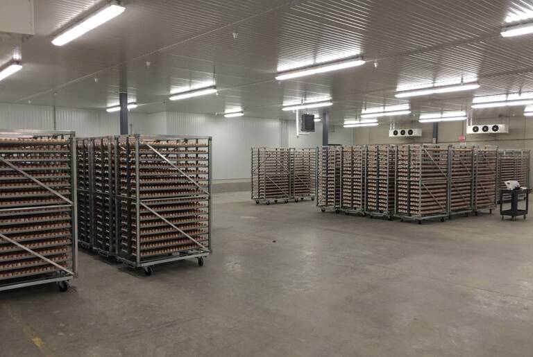 Interior food production facility with racking